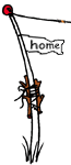 home